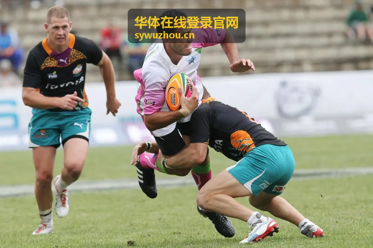 华体在线登录官网账户安全中心保护能力示意